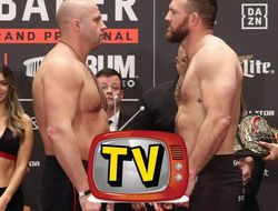 фото - Прямая трансляция Bellator 214: Фёдор Емельяненко — Райан Бэйдер