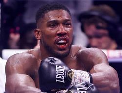 фото - Джошуа похвалил за бой с Хелениусом абсолютный чемпион