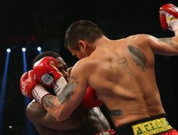 фото - Бои последнего дня 2013-го и веселое начало 2014-го