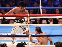 фото - Декабрь-2014: большой щенячий триумф