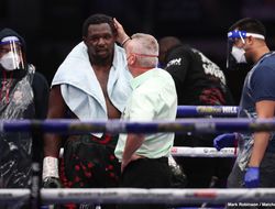 фото - Проспект, экс-чемпион и экс-претендент — Хирн озвучил варианты Уайта в Америке