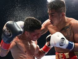 фото - Хулио Сесар Мартинес – Макуильямс Арройо. Видео лучших моментов боя