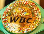 На кону титул чемпиона мира WBC: объявлен реванш Лерены и Мерхи