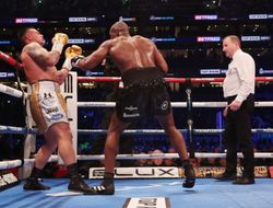 фото - Атлас о скандальном бое Дюбуа-Лерена: «Правильный оппонент, правильный рефери»