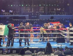 фото - Элиминатор WBO: Колласо немного косплеил Ломаченко, а затем забил Рейеса — видео