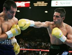 фото - Легендарный Баррера проведёт выставочный бой, но не с Моралесом