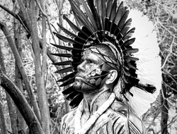 фото - Атлас сравнил Перейру с Луисом, Тайсоном, Форманом и Кроуфордом