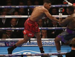 фото - Промоутер: Уайт опередил Уайлдера, теперь он — фаворит на бой с Энтони Джошуа