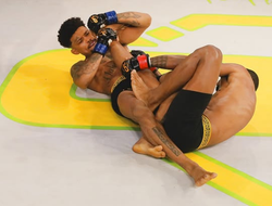 фото - Экс-боец UFC выбыл из игры после перелома члена. Теперь он устраивает аукционы