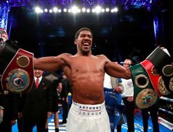 фото - Джошуа: Уайлдер предпочитает драться с Фьюри, хоть у того и нету титулов