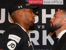 фото - Джошуа хочет драться с Уайлдером, Паркер собирается нарушить их планы