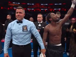 фото - Дэвис впечатлил в бою с Ортисом