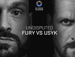 фото - Контракт Усика и Фьюри содержит интригующий пункт: рассказывает ESPN