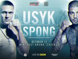 фото - Усик–Спонг: теперь официально — комментарии бойцов