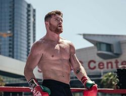 фото - Инсайдер: У Альвареса только два варианта — Геннадий Головкин или Сергей Ковалёв