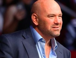 фото - UFC возьмётся за бокс? Отвечает Дэйна Уайт