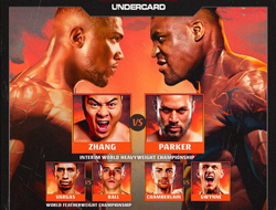 фото - Названы все бои шоу Джошуа-Нганну. В карде есть ещё один крутой поединок