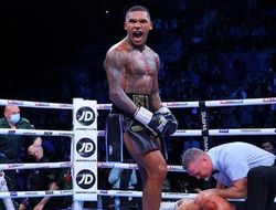 фото - Жёсткий нокаут! Видео лучших моментов боя Конор Бенн – Крис Элджиери