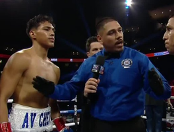 фото - Нокауты от сына Варгаса и супертяжа Роберта Гарсии: видео