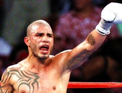 фото - Котто может и нокаутировать Альвареса — Роуч