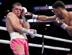 фото - Канело может побить Бивола в реванше — мнение крутого эксперта