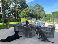 фото - Джошуа не стоит драться с Уайлдером? Крутой спич от британского обозревателя