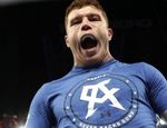 Тринидад: Канело в этом весе без удара, с Головкиным это плохо