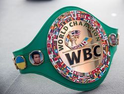 фото - Постановления WBC: Смит претендует на пояс Бенавидеса, Макабу против Влодарчика