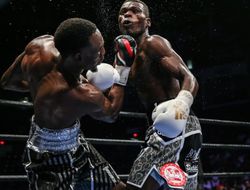 фото - Постановление IBF: чемпион Истер обязан дать реванш претенденту Комми