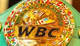 Обновился рейтинг WBC: Новицкий обошёл Джалолова