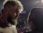 Главный фрик-файт года: озвучены правила мегафайта Пол – Дэвис