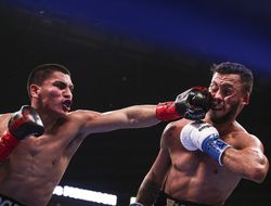 фото - Вёрджил Ортис – Майкл Маккинсон. Видео нокаута и лучших моментов боя