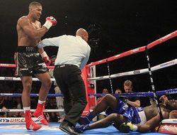 фото - Не спешите списывать Джошуа со счетов, он побьёт Уайлдера — экс-соперник