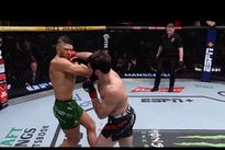 UFC Fight Night 234: Анкалаев – Уокер 2. Видео лучших моментов, бонусы турнира