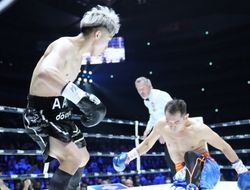 фото - Пока Иноуэ колотил Донэйра, воры обчистили его дом