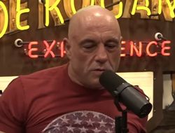 фото - «Это настоящая трагедия». Роган о расставании UFC с чемпионом хэвивейта