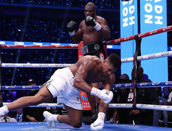 фото - Названы гонорары Джошуа и Дюбуа 