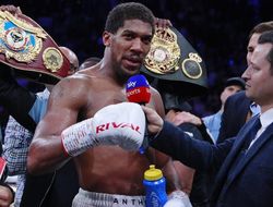 фото - Джошуа-Фьюри или Джошуа-Усик? Что нас ждёт? Мнение vRINGe