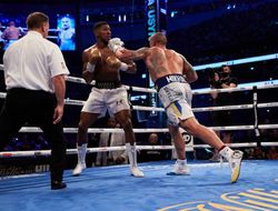 фото - Фьюри вызвался готовить Джошуа к реваншу с Усиком