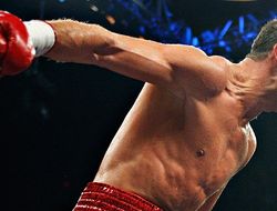 фото - Лучиан Буте завершил карьеру