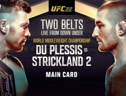 фото - Прямая трансляция UFC 312: Дю Плесси – Стриклэнд 2. Смотреть онлайн