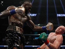 фото - Уайлдер: Я нокаутировал Фьюри