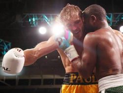 фото - Пол убьёт Макгрегора, а Мейвезер боялся «проиграть колхознику» — Кармазин