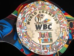 фото - Титульный реванш и два финальных элиминатора — решения WBC