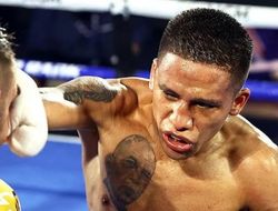 фото - Грядёт бой Эстрада–Франко. Хуан выйдет за микроскопический гонорар?