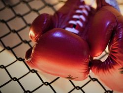 фото - Самая большая восходящая звезда бокса? Ответ знает экс-претендент из США