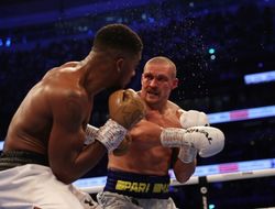 фото - Президент WBC: Усик — ключевая фигура хэвивейта