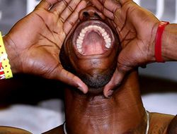 фото - (Результаты + Видео) Харрисон нокаутировался о кулаки Дионтэя Уайлдера