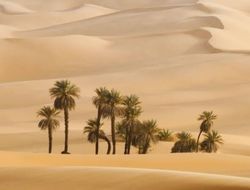 фото - Фьюри считает, что Саудовская Аравия больше подходит Руису, чем Джошуа