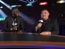 фото - Длинная зубочистка против мелкой зефирки. Экс-соперник Усика о бое Уайлдер-Руис